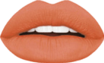 Lip Matte Dark Brown