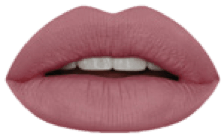 Lip Matte Midnight Rose