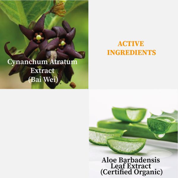 G1003 CL114 Hand Sanitizer (Aloe Derma Care) IPA60