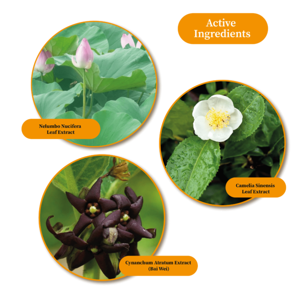 B3004 BODY LOTION (EO)