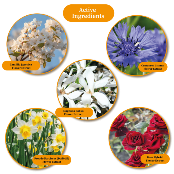 B2003 CL123 ROSE SHOWER GEL