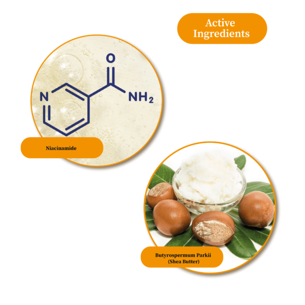 B3008 SHEA BODY BUTTER