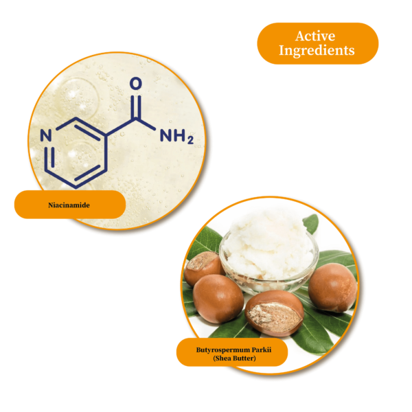 B3001 FM154 ANTI-BAC HAND LOTION