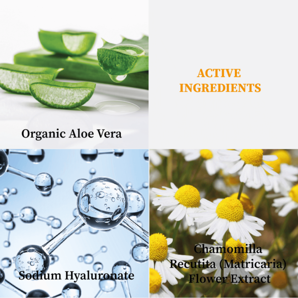 A5005.2 MG115-0000 AQUA GEL MASK (FCS)