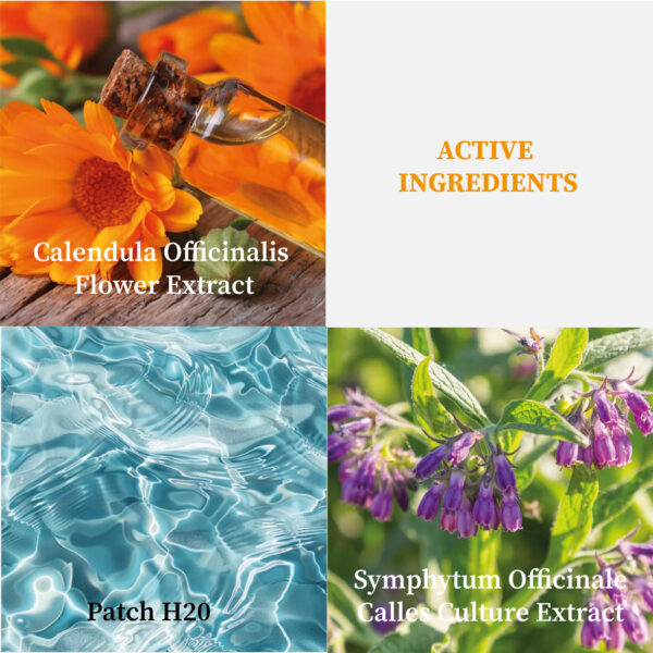 Foundation with SPF (BB & CC CREAM)