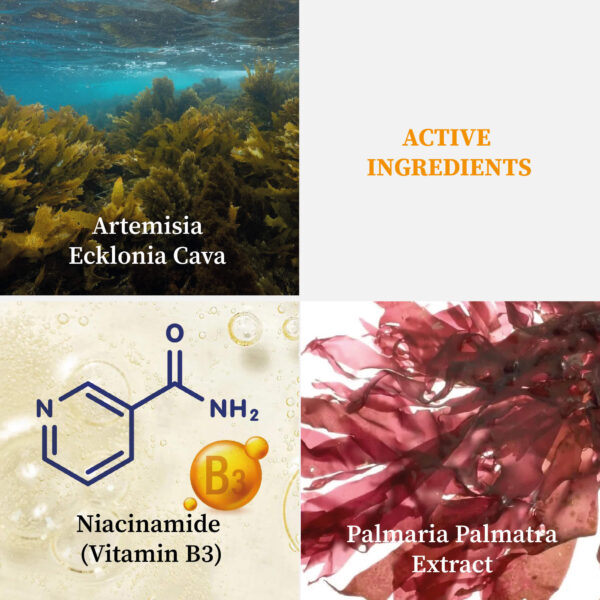 A3004 TN519 Luminous Toner