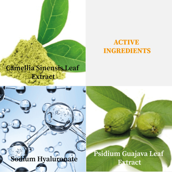 A4004 Puri –Hydra  Toner