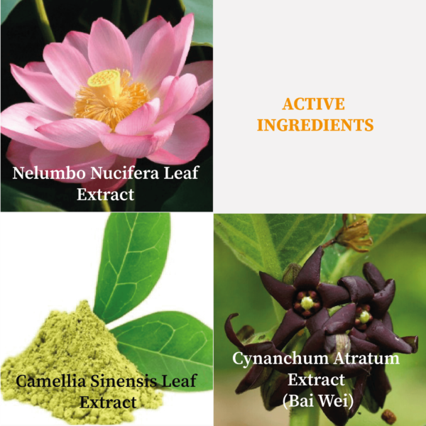 A4003 Purify Clear Cleansing Gel