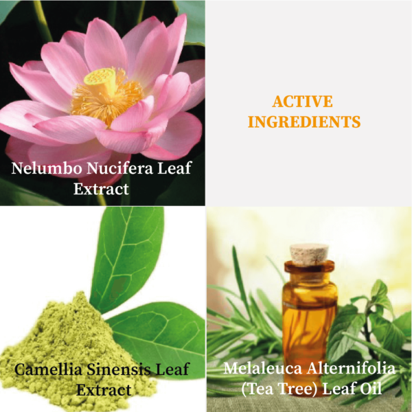 A4007.1 Purify Clear Cream