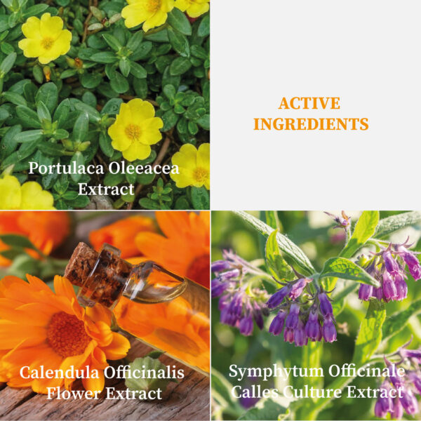 A2003- CL102 Revitalift Antioxidant Cleansing Gel