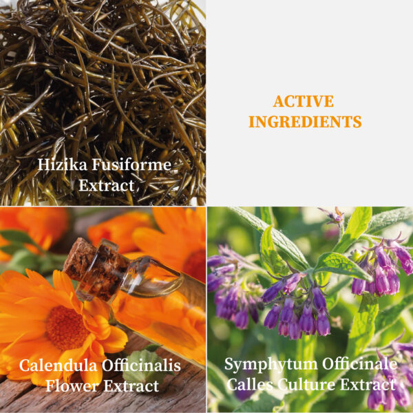 A2004-TN108 Revitalift Antioxidant Toner