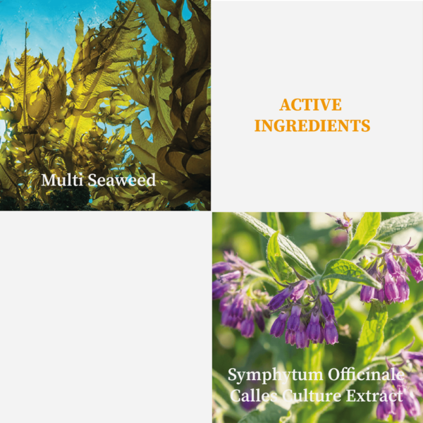 A2005.4 SRT07-1 Stemcell Lifting Paper Mask