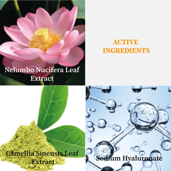 A4005.1 MC105 T3 CREAM MASK