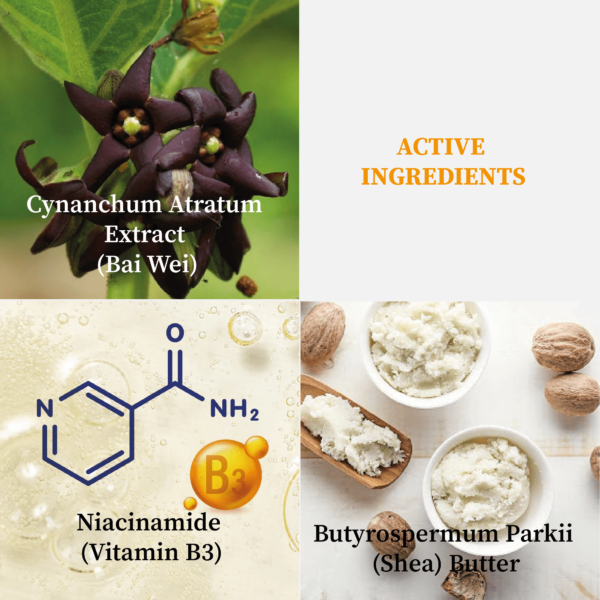 D2001 FM 173-0000 – BABY BODY LOTION