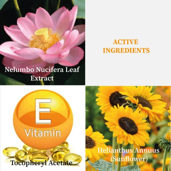 C2001 CL212 Wound Healing Gel