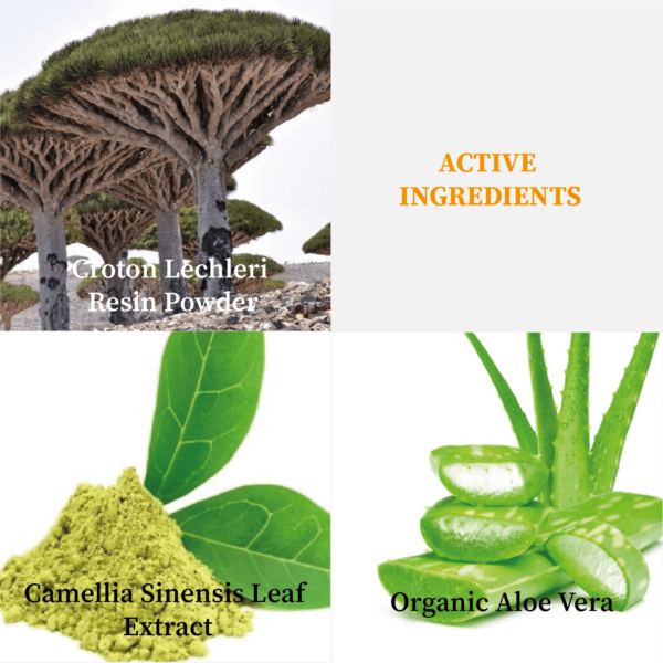 C3001 FM302 Soothing Gel