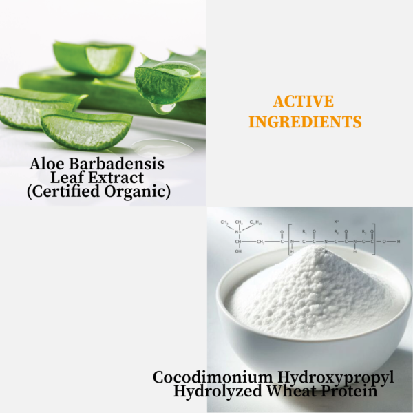 H1001 CL 213 - MULTI SHAMPOO