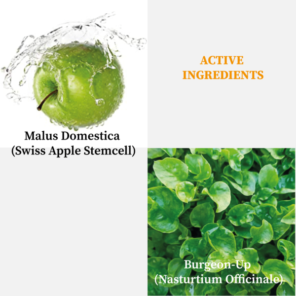 E3002-TN218 Hair Repair Spray