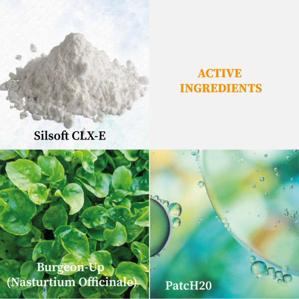 E1001- CL134 Anti Hair Loss Shampoo